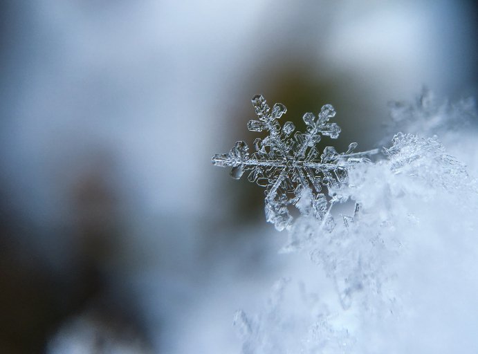 ILFarmBureau's tweet photo. Will we see snow soon? Meteorologist shares weather outlook: https://t.co/cLc5zYj9uE https://t.co/3I0r4Z9Ubr