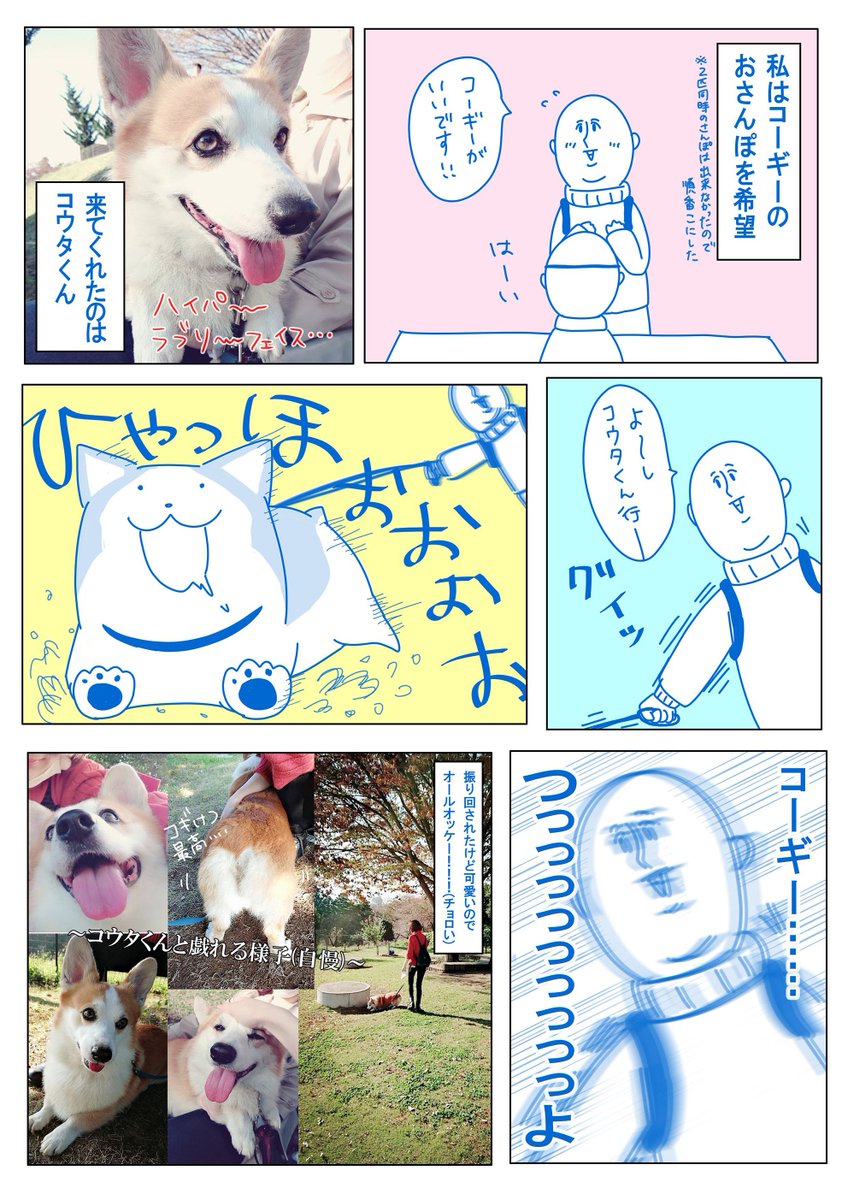 犬好きの天国 群馬 世界の名犬牧場が良すぎる Togetter 犬好きの天国 群馬 世界の名犬牧場が良すぎる Togetter