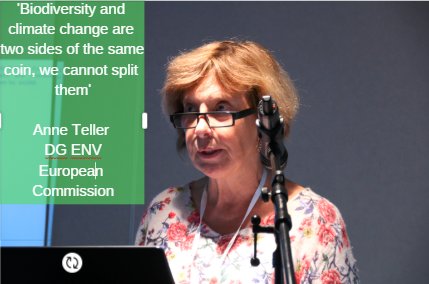 Wetlands have a crucial role in combating climate change says Anne Teller as she discusses how SWOS' work relates to European and International policy frameworks <a href="/EU_Commission/">European Commission</a> #wetlands