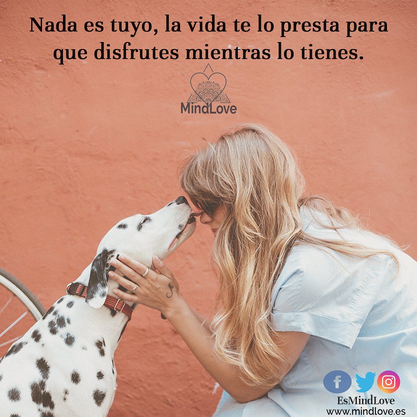 EsMindLove's tweet photo. ¡Disfruta de la vida y de todo lo que te da!
#MindLove #MindLovers #EstadoMindLove #TuMejorVersion #meditating #mindfulness #disfrutadelavida https://t.co/lKMfT4k7fo