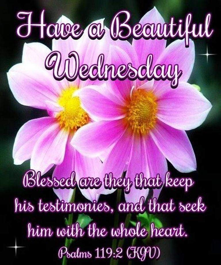 VLRBookClub's tweet image. Enjoy your day! #WednesdayWisdom #motivation #Inspiration #blessed