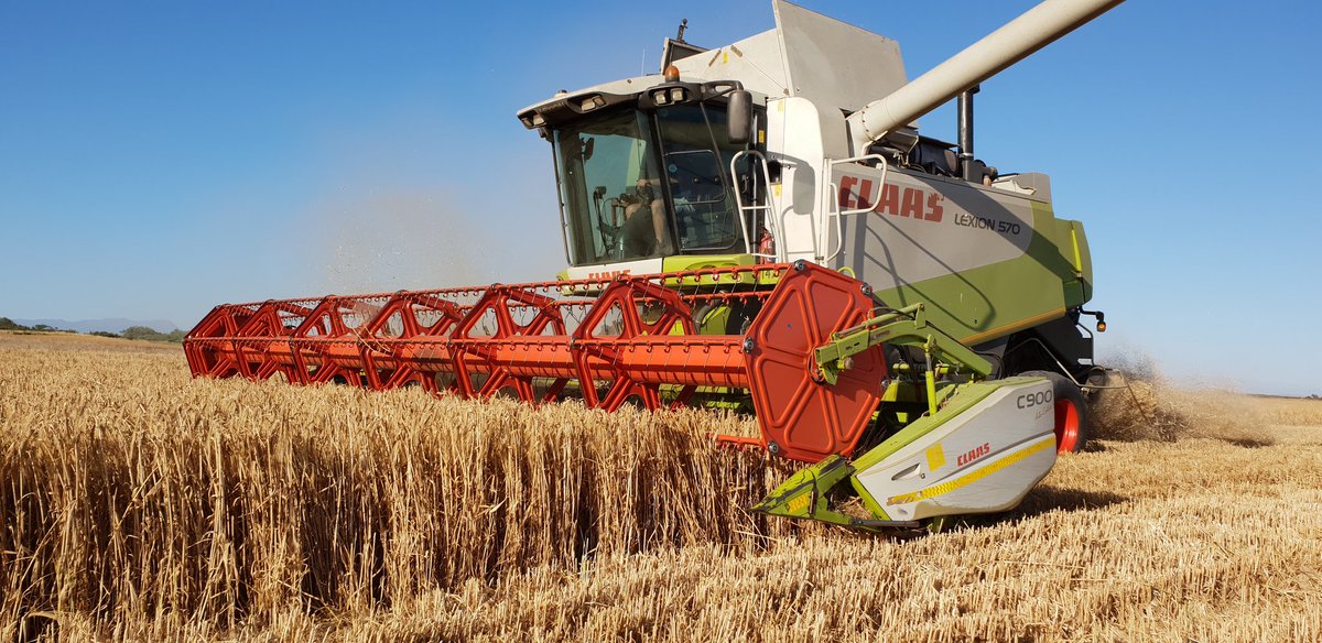 Johann Strauss tweet media