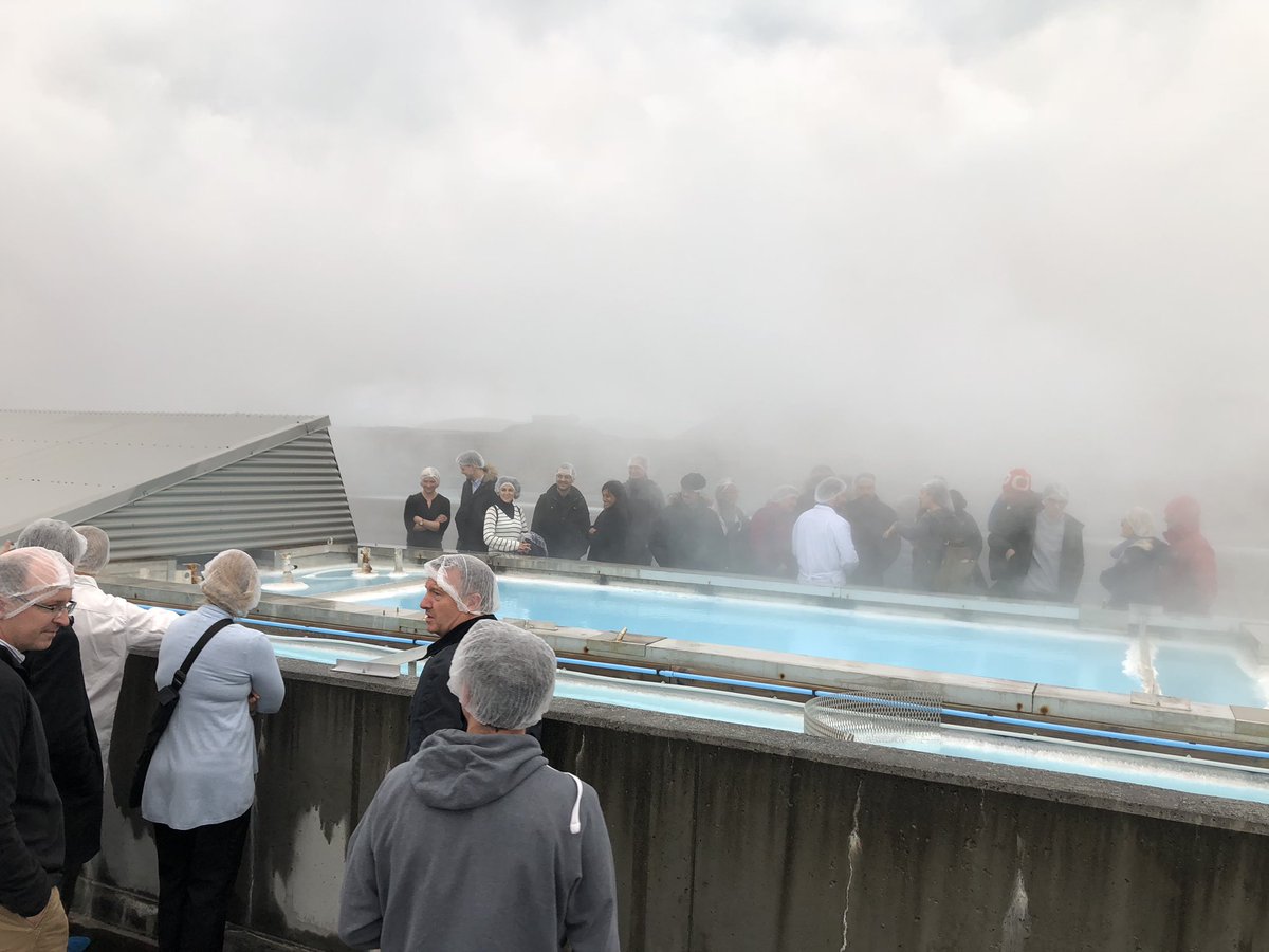 hordurgk's tweet photo. Thank you @BlueLagoonIS @AlgalifeUSA @SagaMedica @KeyNatura for welcoming all of us at the #EIT_Food algal professional course. Great finale! @MatisIceland @plantsci @UniCambridge @FraunhoferIGB #algalbiotechnology #AlgaeIceland https://t.co/hyffIdaOBy
