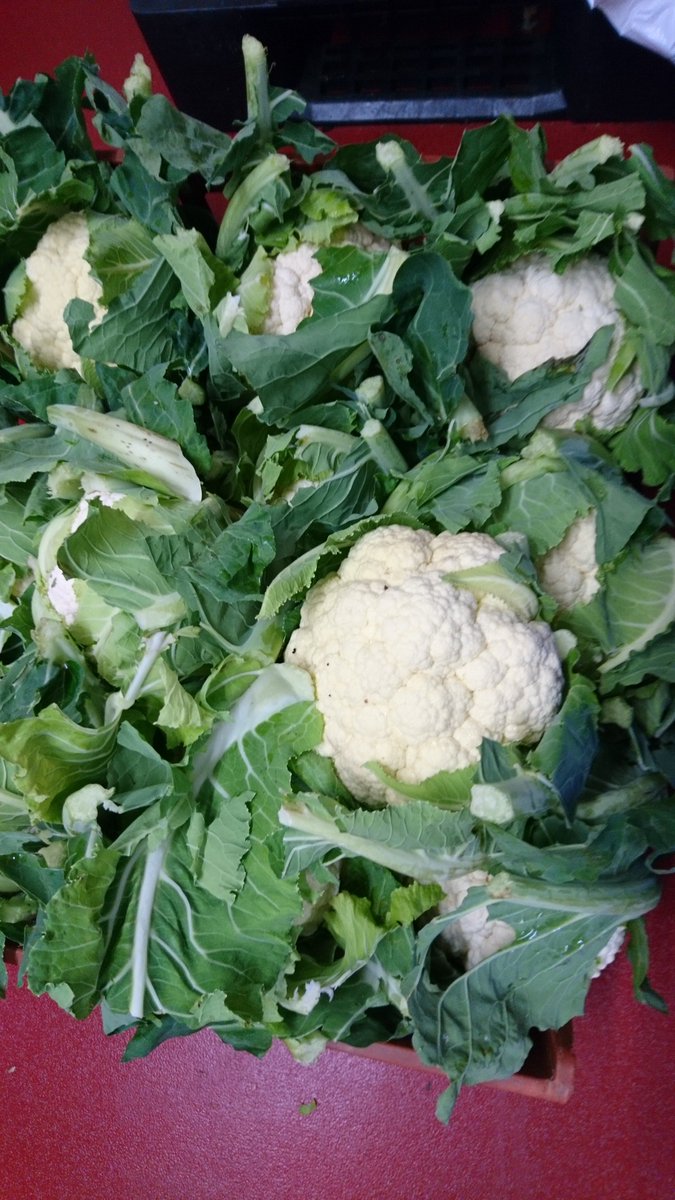 OtterVale's tweet photo. Lots more orders for @OtterVale's #Piccalilli as we approach the festive season A lot of prep &amp; love goes into it, but then it has won a #GreatTasteGoldAward &amp; a @Tasteofthewest Highly Commended. Look at these cauliflowers - thanks #PynesFarm! #Budleigh #supportlocal #DevonFood https://t.co/rIjFoQV6PU