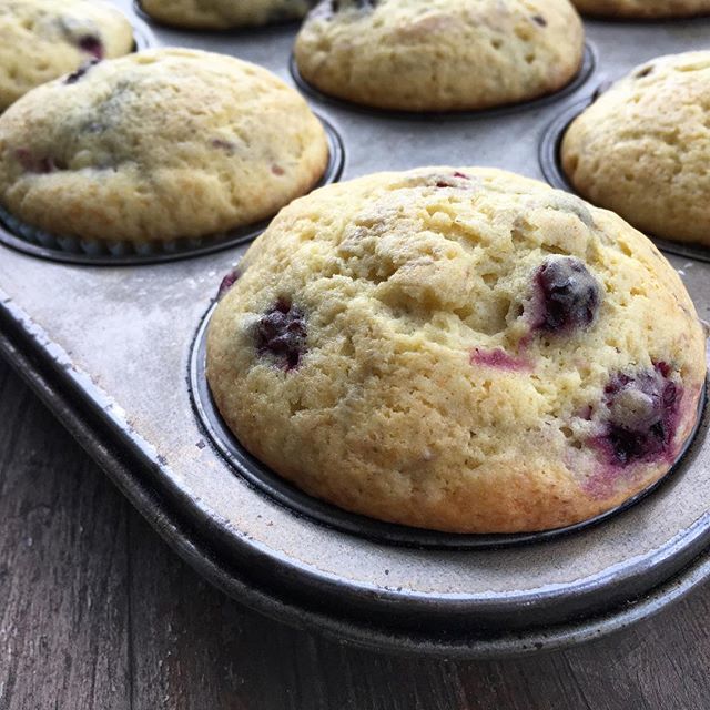 farmfresh4life's tweet photo. My 11 year old son made Ina Garten’s blueberry muffins for breakfast - we didn’t have any blueberries so he used blackberries instead... heaven sakes!
We ate 20 muffins- TWENTY
I’m having juice 🥤 for lunch.
#Muffins #Baking #Scratch #Organic #FarmFreshForLife #FarmFresh #… https://t.co/nMUcvXKpuB