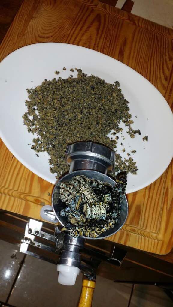 kgosinyathi's tweet photo. Zambia has outsmarted Zimbabwe. Value addition to mopane worms. https://t.co/AEfkfH89eY