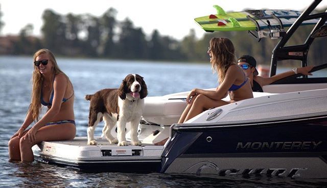 RoswellMarine's tweet photo. “Sup ladies, can I get a pull?” Leave no man’s best friend behind on the @MontereyBoats 238 Surf Edition with #RoswellMarine towers, racks and SOUND. #ExperienceRoswell #GetLoud
#Repost #MontereyBoats
#MontereyLife #YachtLife #Wakesurf #Wakesurfing https://t.co/DiZMiiCR1Q https://t.co/rY9EQsDDGA
