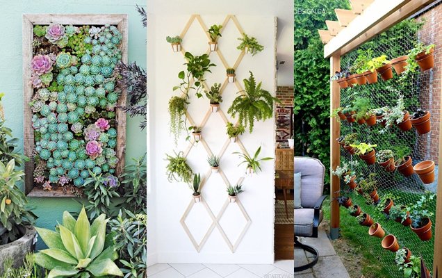 guiajardineria's tweet photo. Si amas las plantas pero no tienes un jardín amplio para sembrarlas ¡Haz un jardín vertical con estas 25 ideas creativas! 👌👌 #jardin #jardineria  https://t.co/1zDKIYmeGc https://t.co/QDK9Yr1kzf