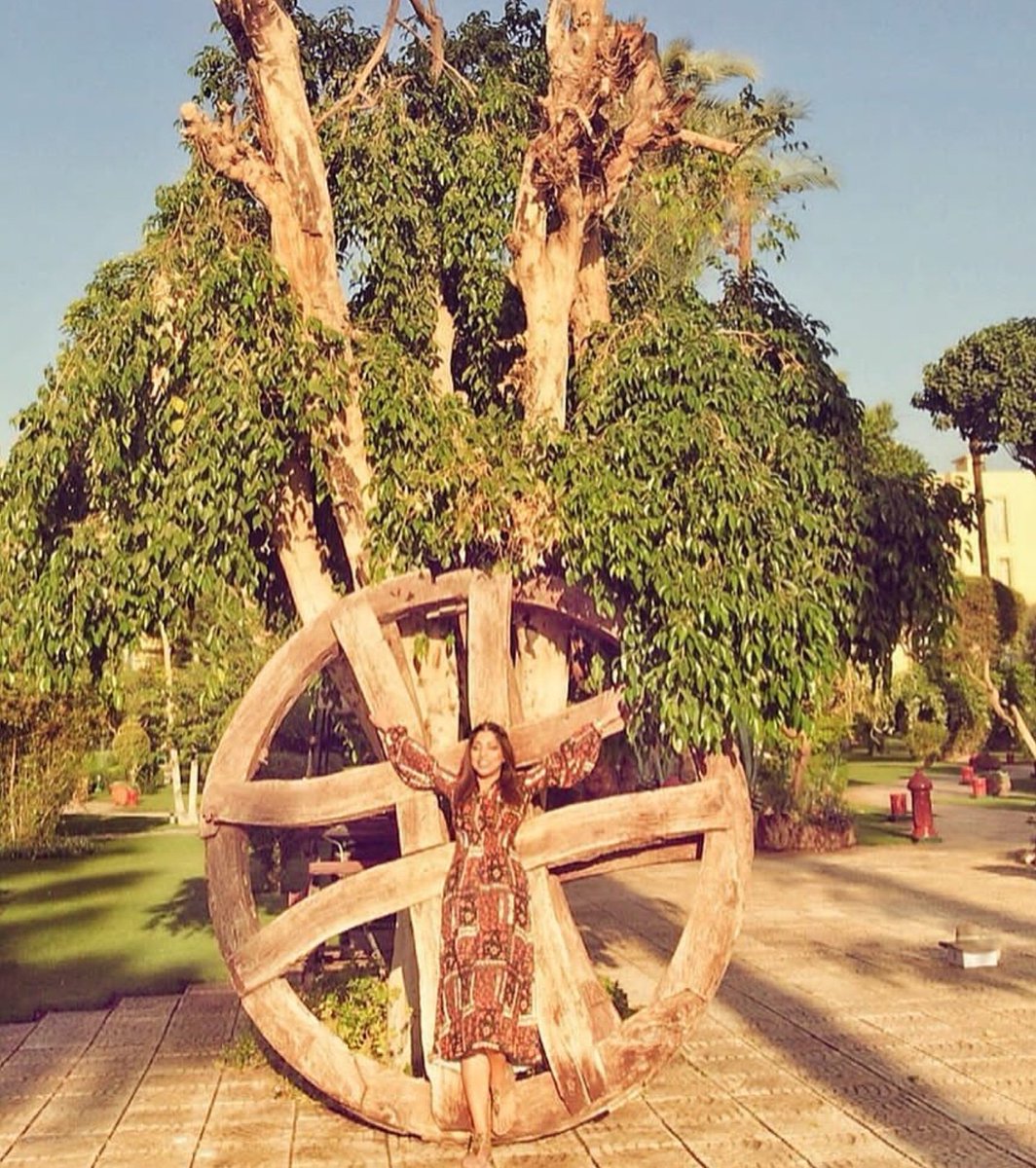 Originally built as an ornamental supplement after the completeion of the hotel, the spawling palatial gardens have come to define the warmth, hospitality, luxury and elegance of The Sofitel Winter Palace. 📸@hana_traveldiary #SofitelWorld #LiveLikeRoyals