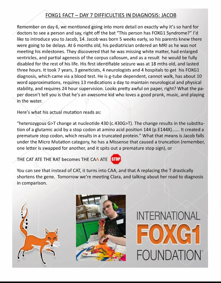 IFF FOXG1 (@iff_foxg1) on Twitter photo 