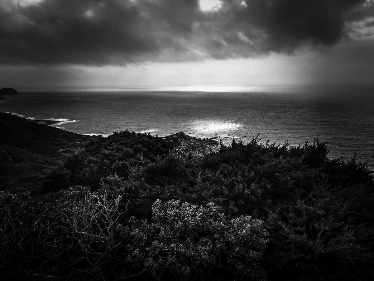 gavinobazzoni's tweet photo. Paesaggio costiero: tramonto sulla costa nord-occidentale della Sardegna
#blackandwhitephotography
#blackandwhite #monochrome
#bnw #bnw_captures #monostyle
#biancoenero #photography
#sardinia #nurra #seascape
#landscape #nature #paesaggio
#sardegna #bnw_sardinia
#sunset https://t.co/kUj3mx5EX5