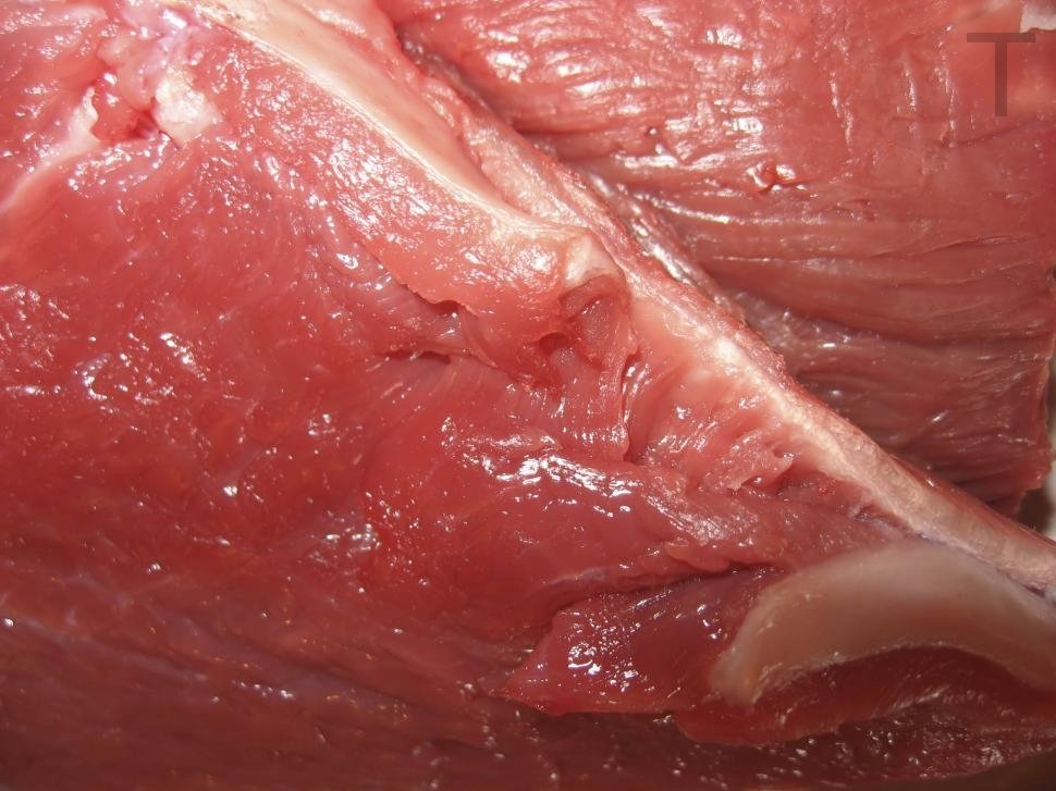 EmilyHa36752383's tweet photo. Raw meat https://t.co/C3v588sLrc