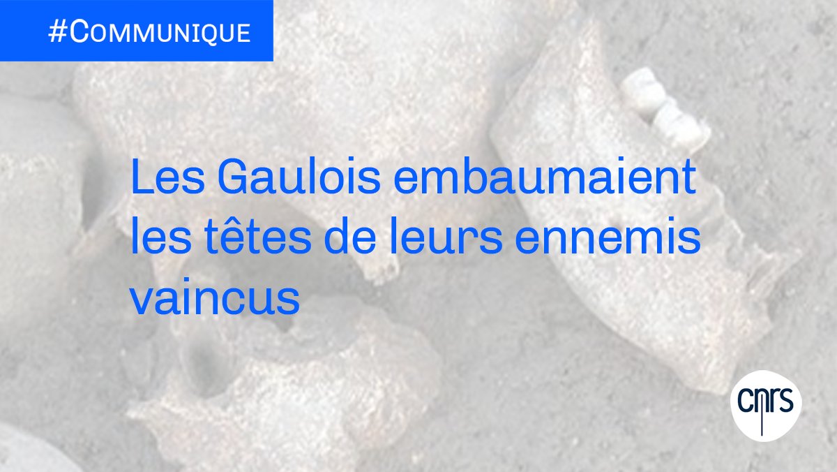 CNRS 🌍 tweet media