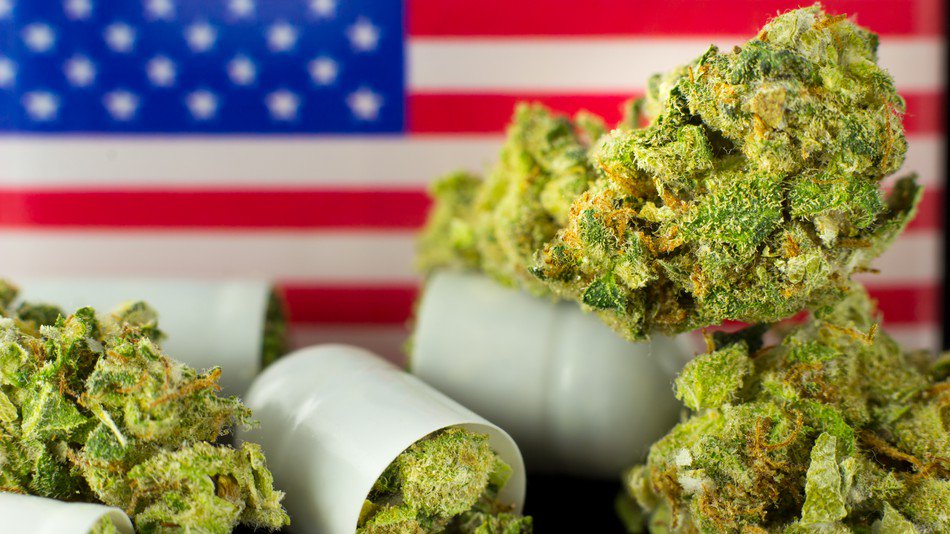 mashable's tweet image. What you need to know about the state of weed laws after the midterms trib.al/dYJy6Gj