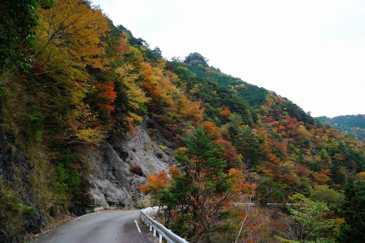 殿川内渓谷