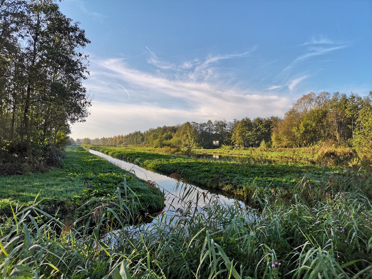 Sam__Leader's tweet photo. Great few days in the field in Rotterdam exploring hydrology and aquatic ecology with Geography undergraduates @unibirmingham @GeogBham #bruminthefield https://t.co/zZ7I9iYqMw