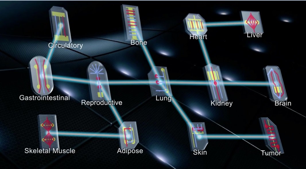uFluidix's tweet image. How organ-on-a-chip technology might be used (and abused) in the elective consumer space: bit.ly/2DoIWjz
by @laxmevy

@emulatebio @HesperosInc @wyssinstitute @US_FDA 
#OrganOnAChip #microfluidics #personalizedmedicine #regenerativemedicine