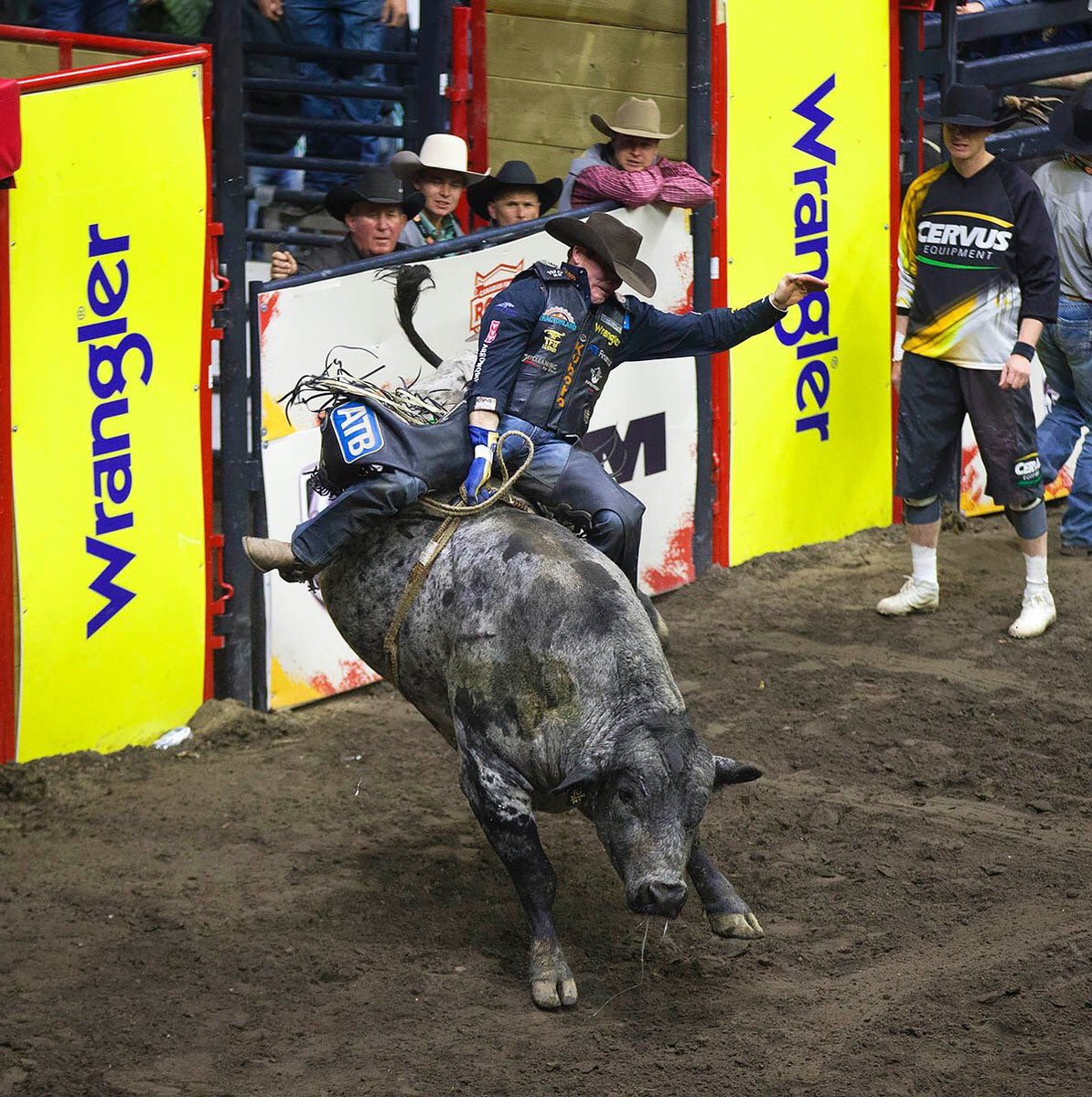 Scott Schiffner tweet media