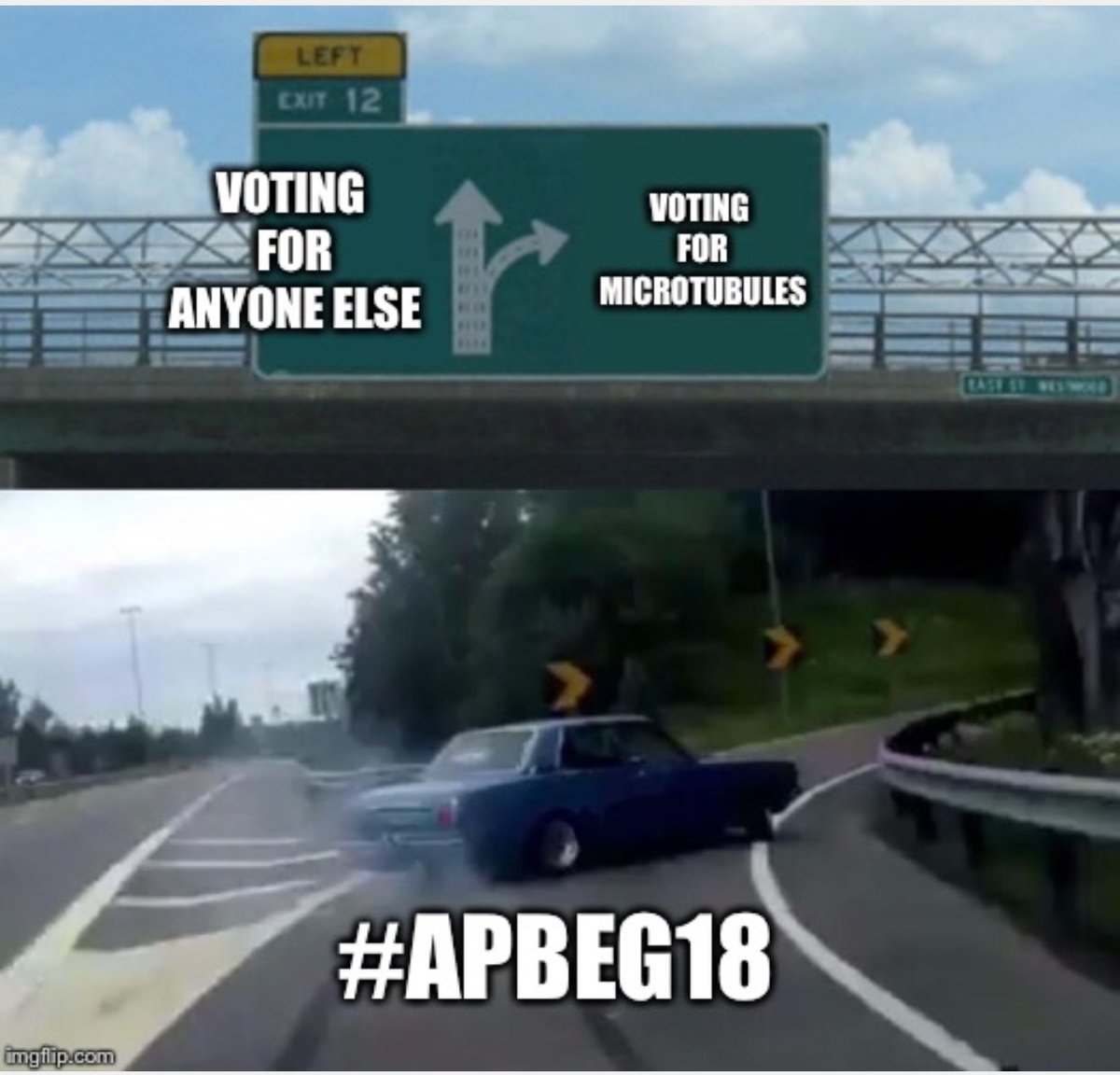Vote for Microtubules #APBEG18 #lol #bestorganelle