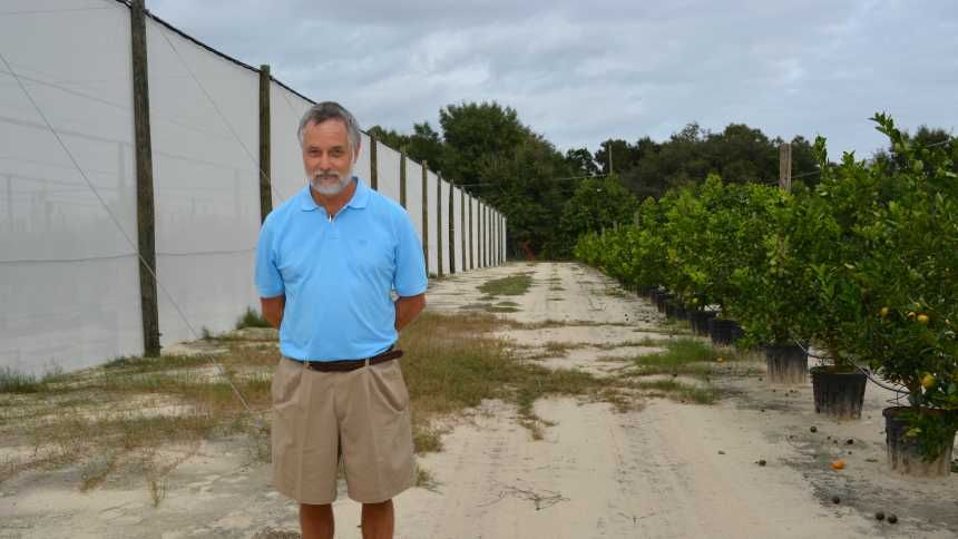 Phytelligence's tweet photo. Thanks to a grant from the USDA, professor Arnold Schumann  (University of Florida) will lead a team of 9 in researching how well #grapefruits can grow under protective screens, shielded from the vector that spreads #CitrusGreening via @GrowingProduce https://t.co/r5koxsmw0K https://t.co/3IVIFrZOnq
