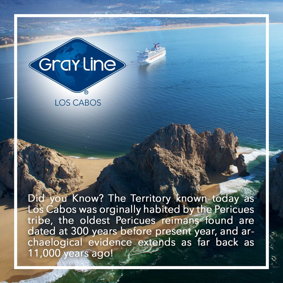 GrayLineCabo's tweet photo. Did you Know?.. Here is a small fact about Los Cabos for all travelers around the world

Come visit soon!

#loscabos #grayline #fact #travel #history #traveler #mexico https://t.co/i9R13ulSmW