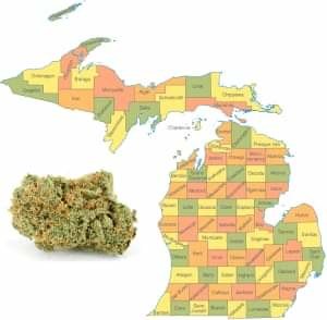 RasRandyLive's tweet photo. Congratulations Michigan! #legalizeit #dontcriticizeit #ganja #Rasta #Rastafari #rasrandy #onelovearmy https://t.co/I6mV33OGoP