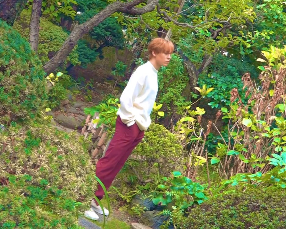 vernon low quality tweet media