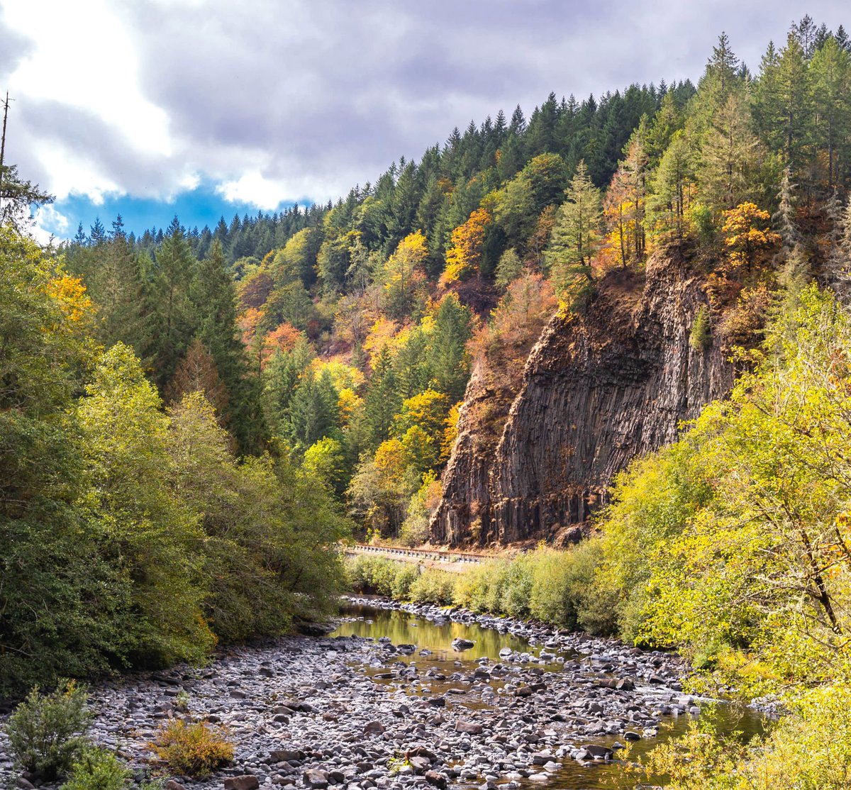 Hiking, picnicking, swimming, camping, biking, boating, fishing &amp; fall colors -  Molalla River Recreation Area has it all! #Oregon