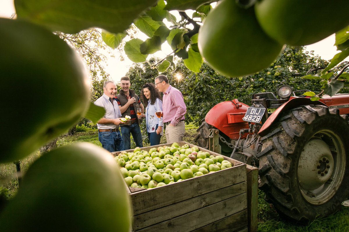 LongMeadowCider's tweet photo. Take a look at our updated website https://t.co/hPBoYgDirI we have tour dates now available as well as Art in the Orchard Workshops both ideal Christmas gifts if youβre after something different & unique #AppleOrchards #CiderSampling #ArtintheOrchard #Tours https://t.co/UFHItMvDQJ