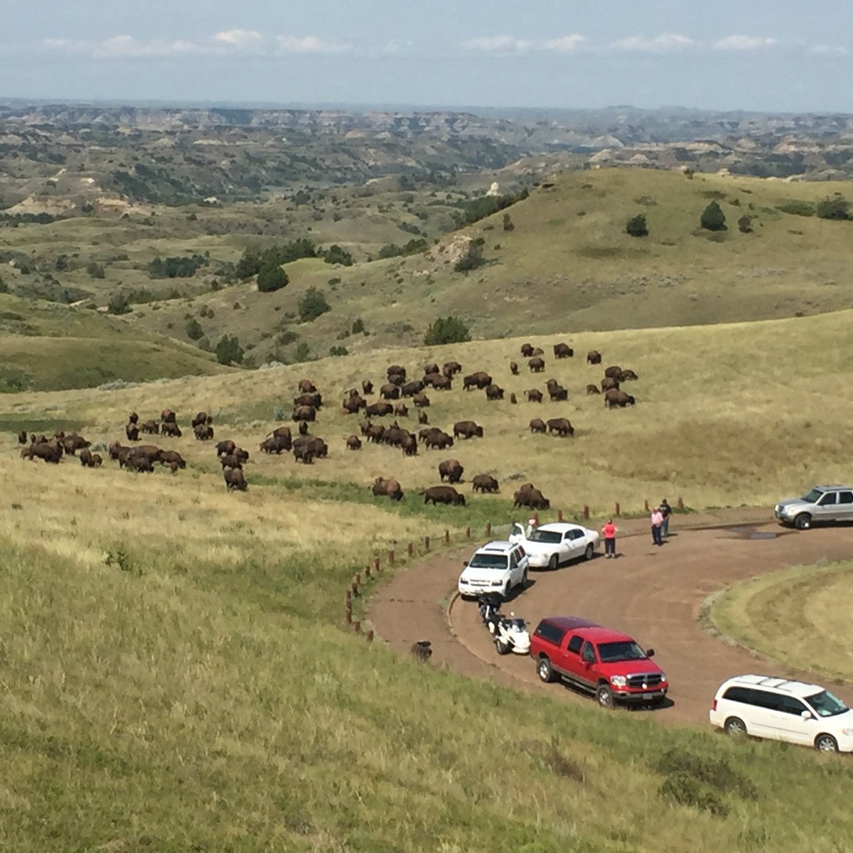 KimSchmidtND's tweet photo. The story opportunities are endless in @MedoraND! Can't wait to welcome all the bloggers and writers to this community next June. Going to be a #NDLegendary event. #MWTravel @CvbMedora @MWTravelNetwork https://t.co/N5lwIsoKvk