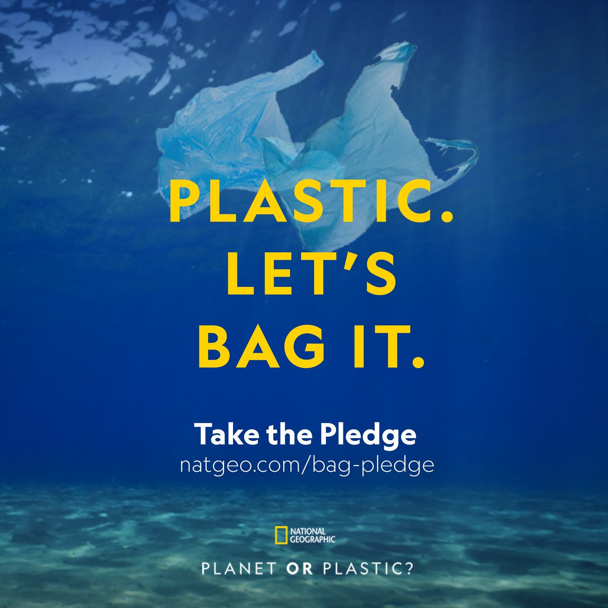 MegPetratis's tweet photo. #ichooseplanet and I’ve made a pledge to carry a reusable shopping bag every time I go shopping.  What will you choose? Take the pledge with us and pass it on. https://t.co/2YhMwL4tjI https://t.co/esYkO2wtJF