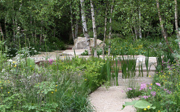 Steve Williams tweet media