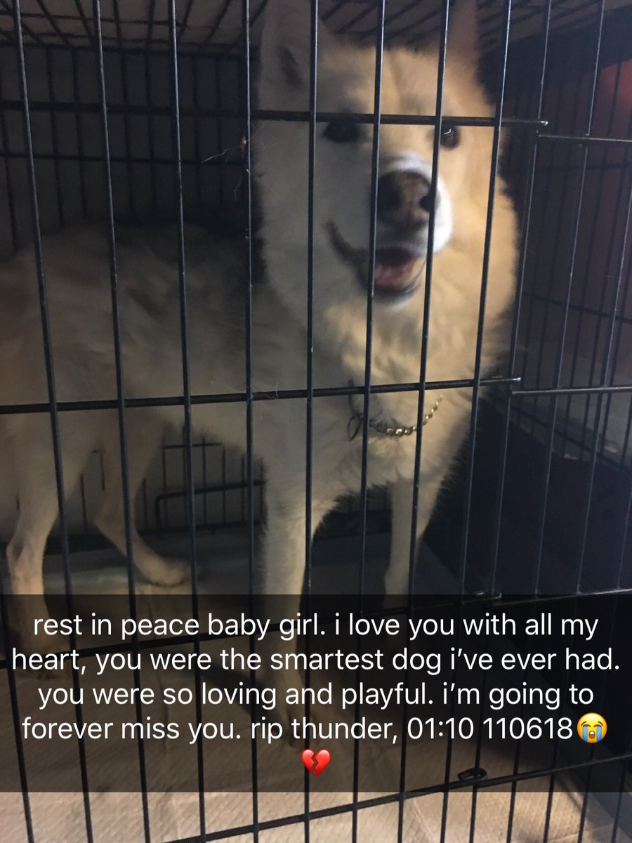 // I had to say goodbye to one of my best friends of 13 years.