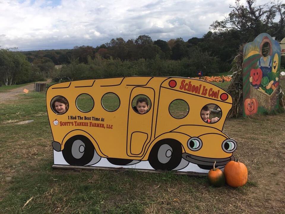 OLMStrong tweet media