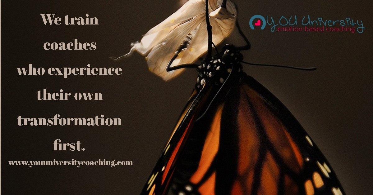 SCavallo1's tweet image. To become an emotion-based coach is a wonderful way to help others and also to learn how to help your clients heal while experiencing the same for yourself in a loving community. 
#youuniversitycoaching #lifecoachtraining #emotionbasedcoaching #transformation #healing