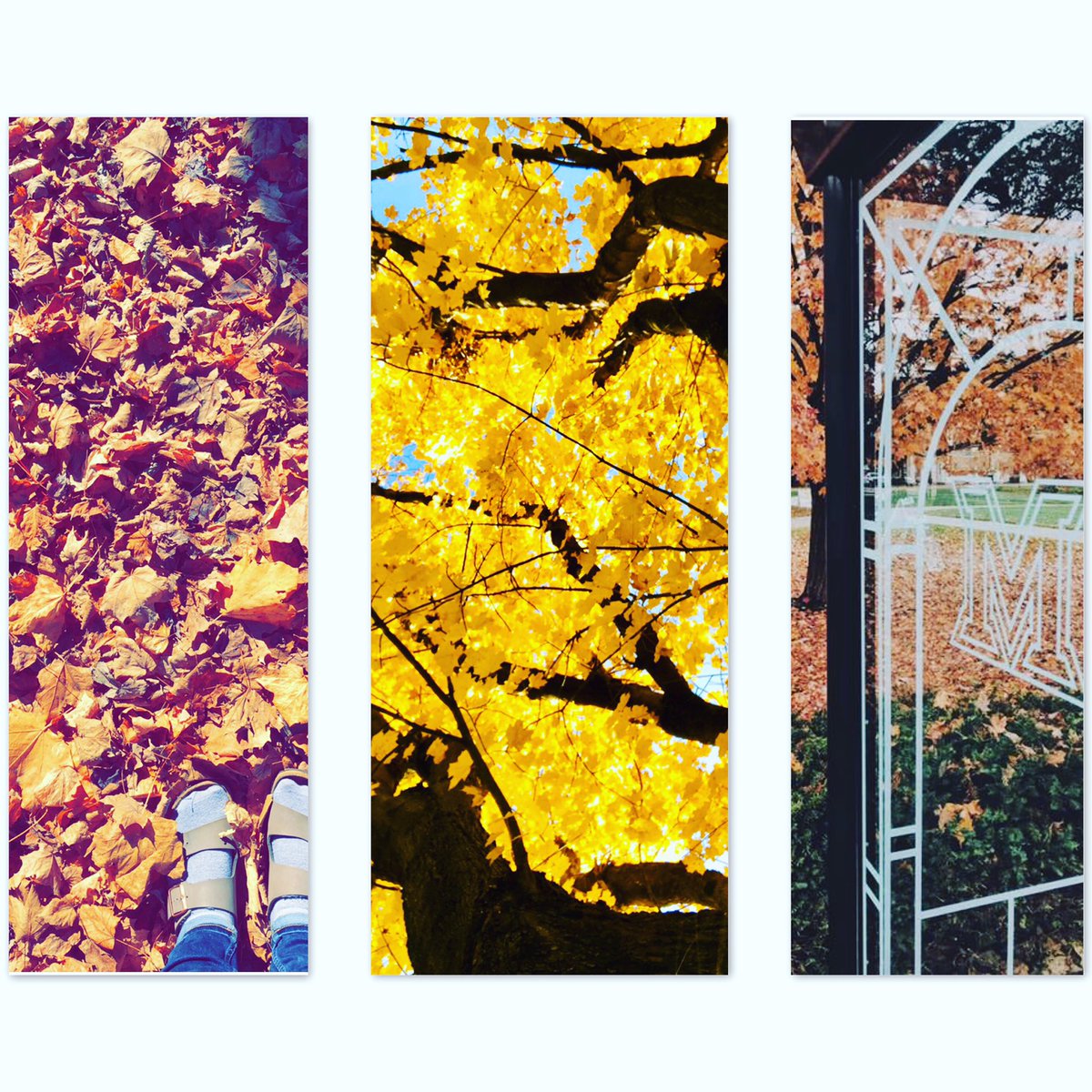 InFocusMU's tweet image. 14 days till Thanksgiving break! 🦃 Don’t forget to submit your Fall photo challenges and run for an exec position!!