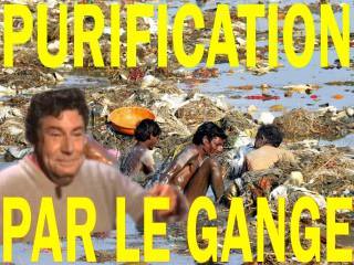 LSeparatiste's tweet photo. @ytelpueblo974 Ganged https://t.co/PhE8fi1RjS