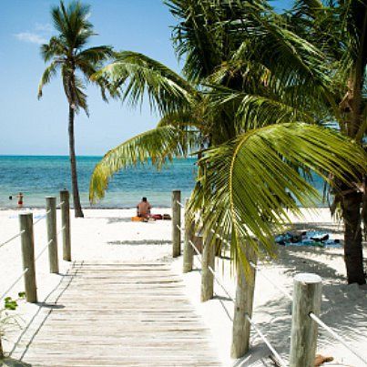 BestWesternKW's tweet photo. It never gets old! #blueskies #palmtrees #KeyWestStateOfMind #KeyWestMode #keywestvibe #goodvibes #keywest https://t.co/67UJ6wWDlr