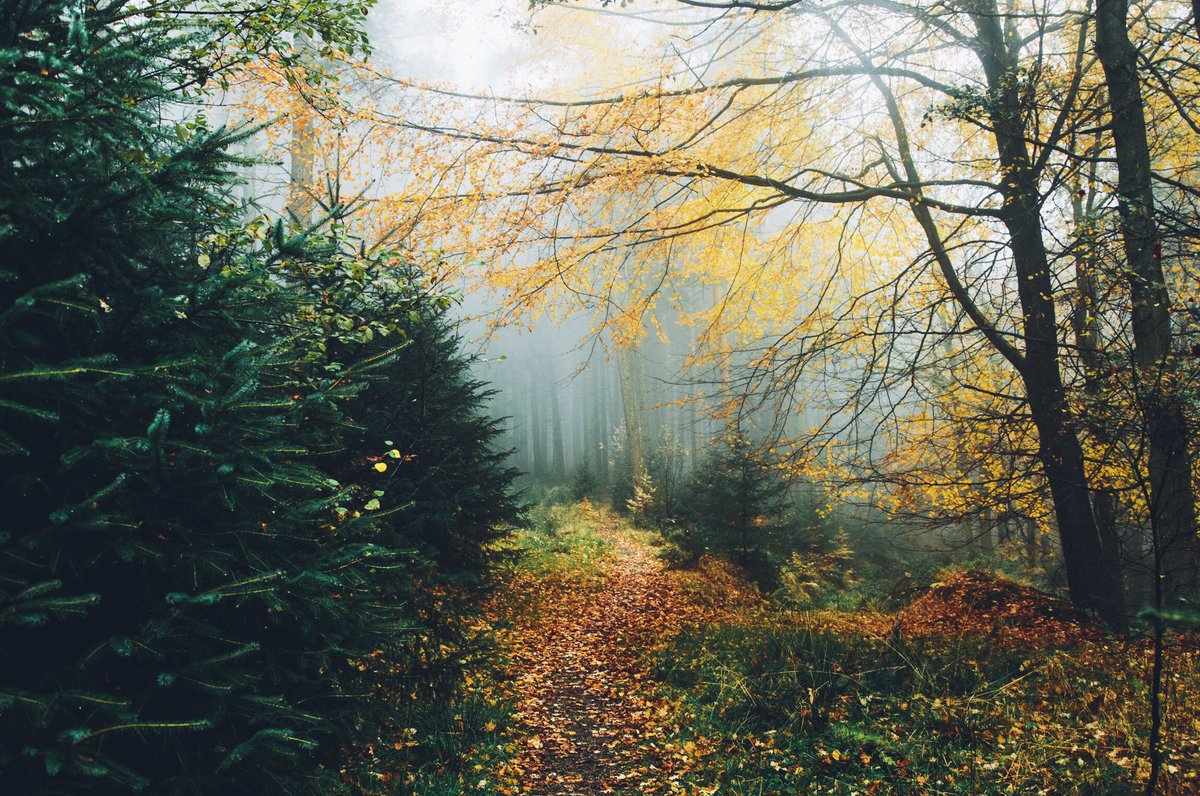Daniel Casson tweet media