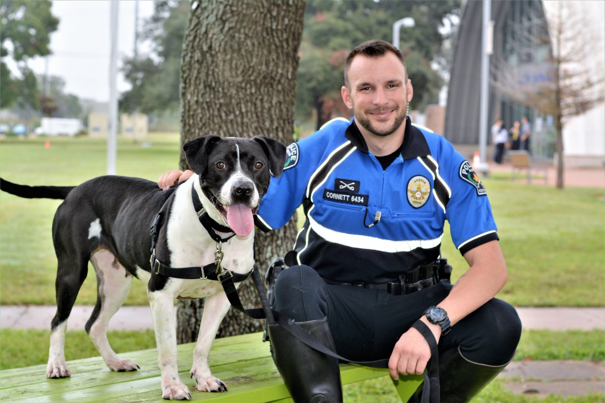 Austin_Police's tweet image. Every week, our APD Officers meet with a dog who needs a good home. This week's #APDRescueMe features Ofc. Cornett and "Putter," a 1-yr-old Boxer-Mix. She is very social and is treat motivated. Visit her today! ID A776811 at Austin Animal Center off Levander Loop! #AdoptDontShop