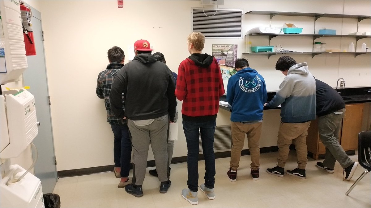 Gromit1996's tweet image. We&apos;re learning about asexual reproduction in animals and plants. #saderscience #gallerywalk