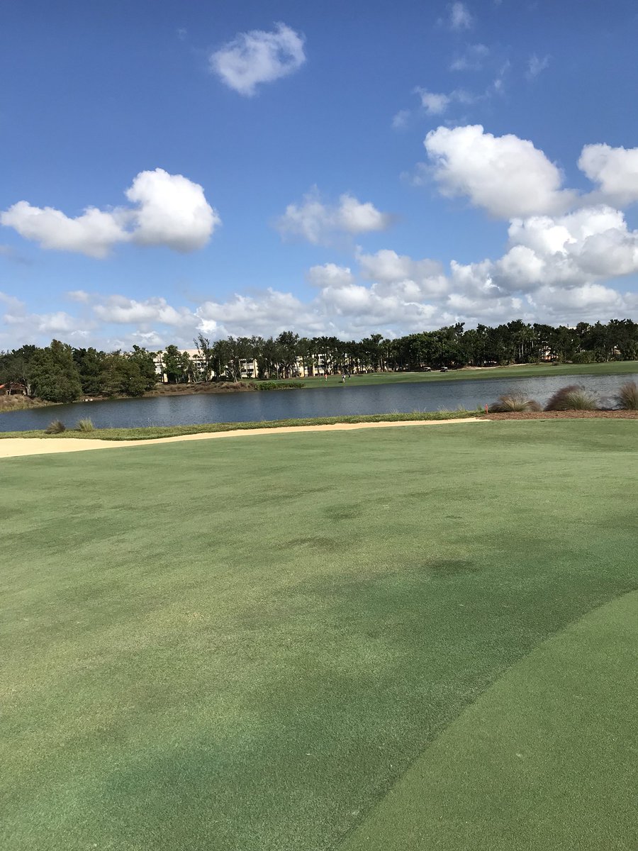 John Miller (@lpga_agronomy) on Twitter photo Final light topdress and roll before next week’s <a href="/CMEGroupLPGA/">CME Group Tour Championship</a> Tiburón looks really good! <a href="/LPGA/">LPGA</a> <a href="/TiburonNaples/">Tiburón Golf Club</a> Final light topdress and roll before next week’s <a href="/CMEGroupLPGA/">CME Group Tour Championship</a> Tiburón looks really good! <a href="/LPGA/">LPGA</a> <a href="/TiburonNaples/">Tiburón Golf Club</a>