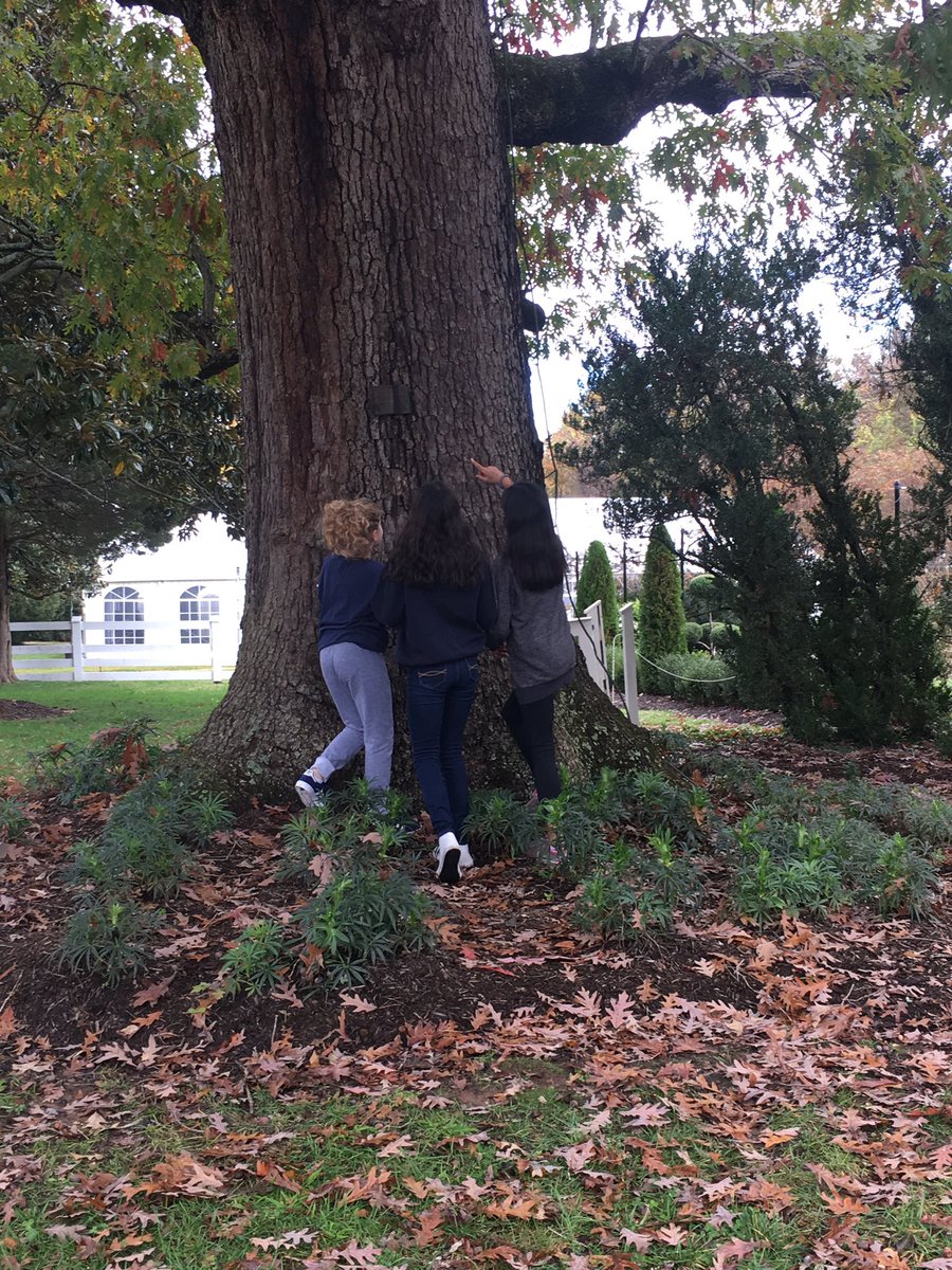LiebnerM's tweet photo. Pope Leighey and Woodlawn Plantation 6th grade field trip @mehms #fccps #allsystemsgrow https://t.co/429zm30oz1