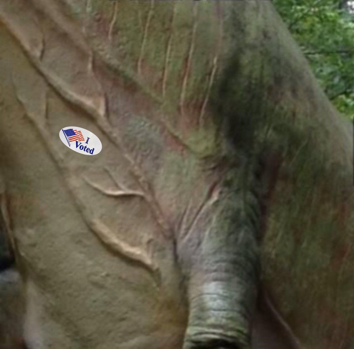 travel_rex's tweet photo. Yeah I voted #stickerselfie doesn’t count if you don’t tell the world!!! Pangea 2018 https://t.co/ExfP9eMcAs