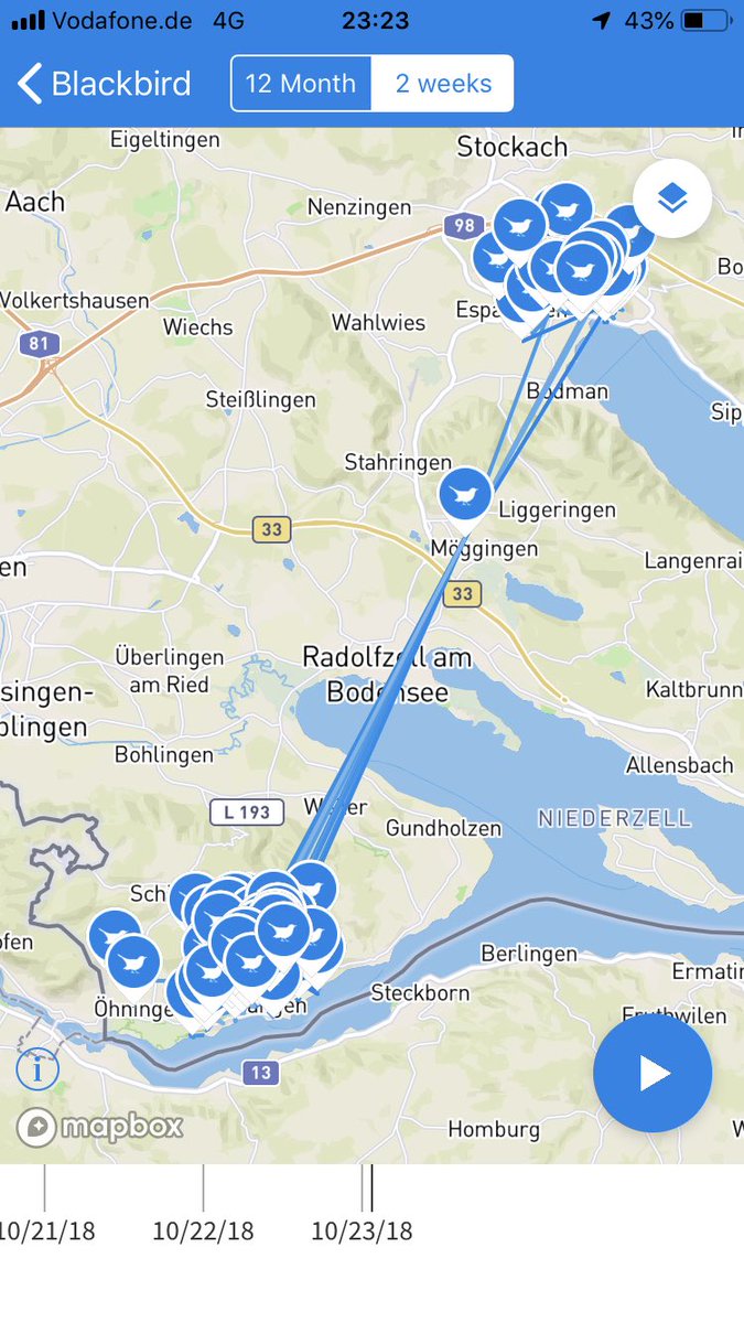 animaltracking's tweet image. 164 captive-bred blackbirds will soon decide where to spend the Northern winter: Lake Constance? France? Spain? Are the Russian-heritage blackbirds going first? Or the French-ies? Follow them live with #ICARUSintiative tags on the animal tracker app.