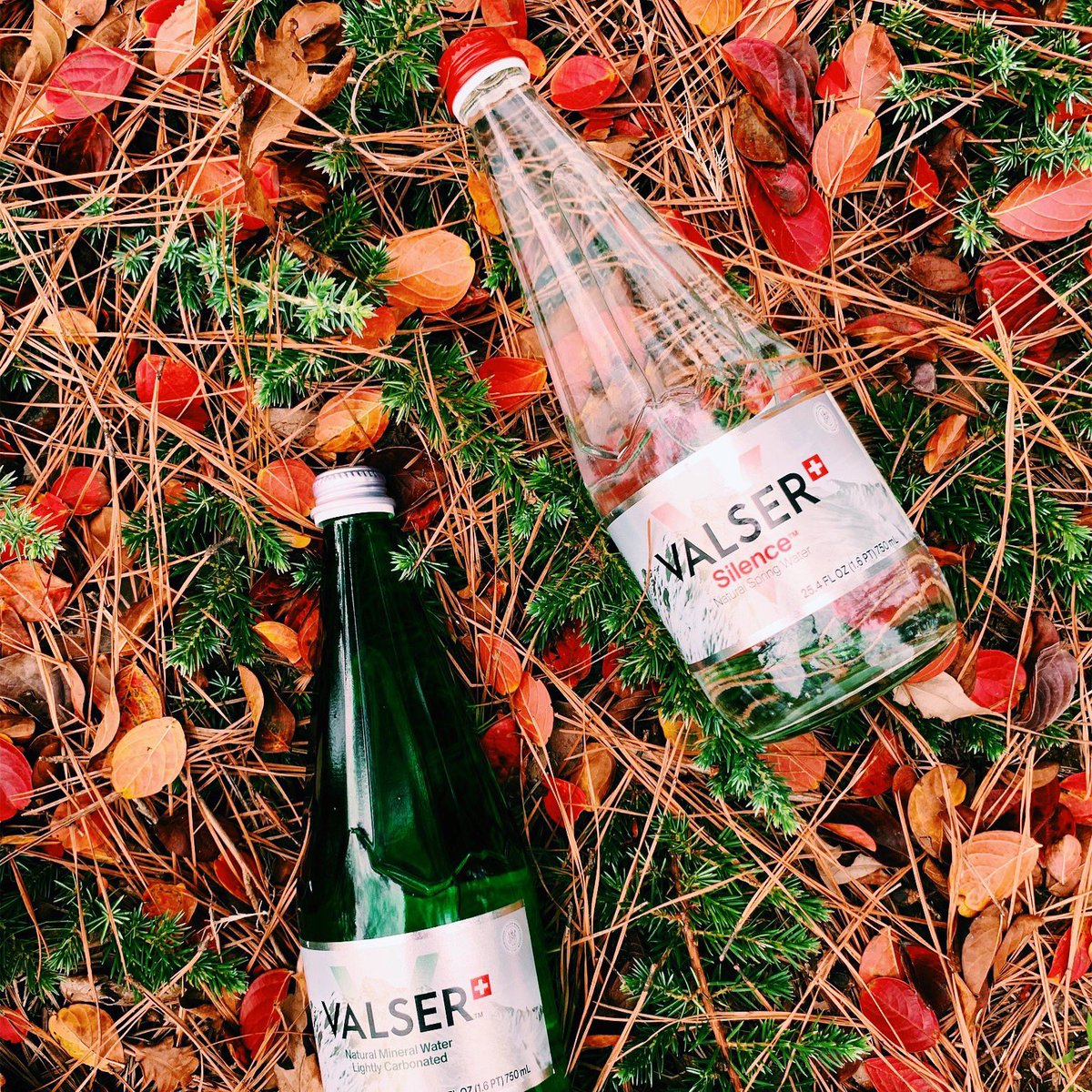 🍂 the season may be changing but our drink preference is not, valser still remains our favorite 🍃 #valserusa #madebymountains #swissmade