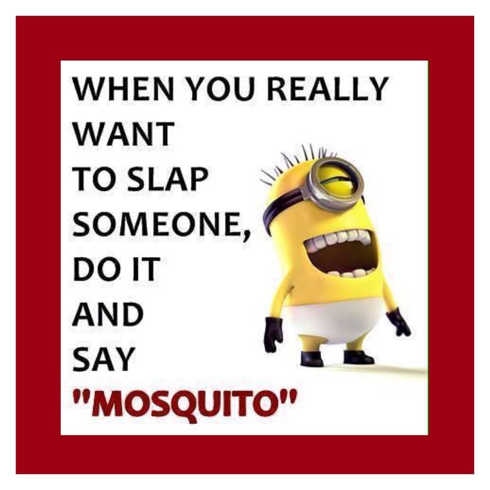 Share if you like Minions! 

<3 Follow us <a href="/betsminion/">BestMinion</a> <3

{ #minions #despicableme2 #universal #minionsforever #despicableme3 #minionsrule #minionslover #minionsparty #minion #loveminion #minionslife #despicableme