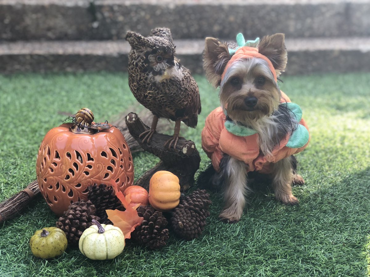 D_2Different's tweet image. I’m so obsessed with him 🤗