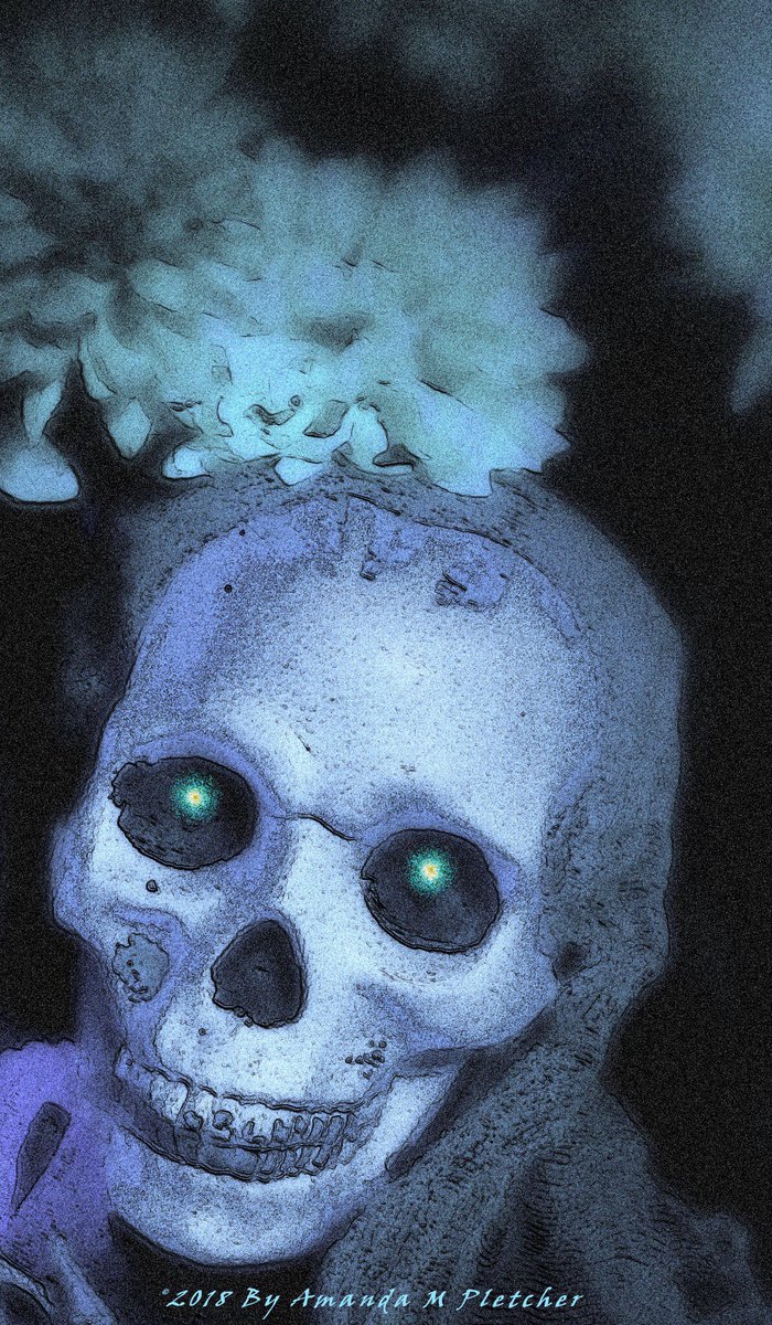 AMPartworksofMI's tweet photo. 💀🍂🍁💐😂 #Skull #Portrait #Muskegon #Michigan #Art #Photography #artphotography #ampartworksofmi #westmichigan #justforfun #besties #smile #hamitup #skeletons #bones #fiction #fall #photoop #photooftheday #lakeshore #artist #WednesdayMotivation #inspiration #create #humor 🖼✨ https://t.co/SvwItM2m9X