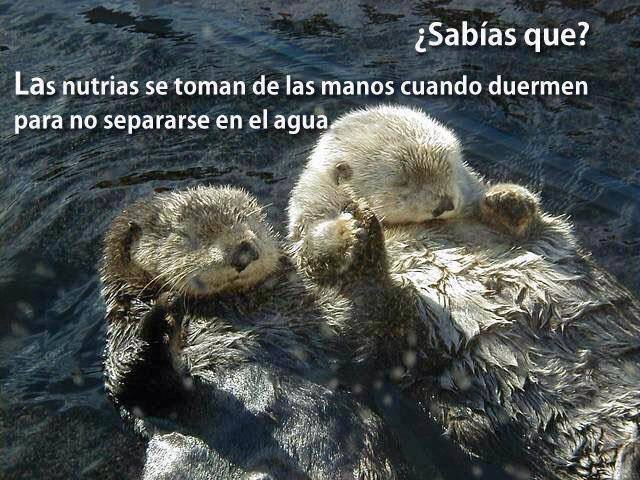 jcastorv's tweet photo. Así en la vida https://t.co/DHu4xagni3
